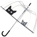 Parapluie transparent chat automatique poignée canne