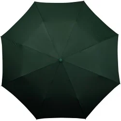 Parapluie pliant miniMAX manche noir droit ouverture automatique - vert