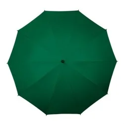 Grand parapluie de golf manuel Falcone manche fibre de verre poignée caoutchouc noir - vert