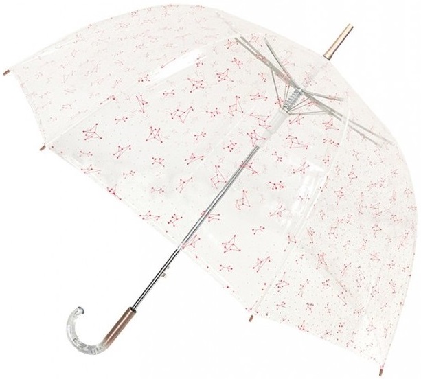Parapluie transparent pour femme à toile en cloche